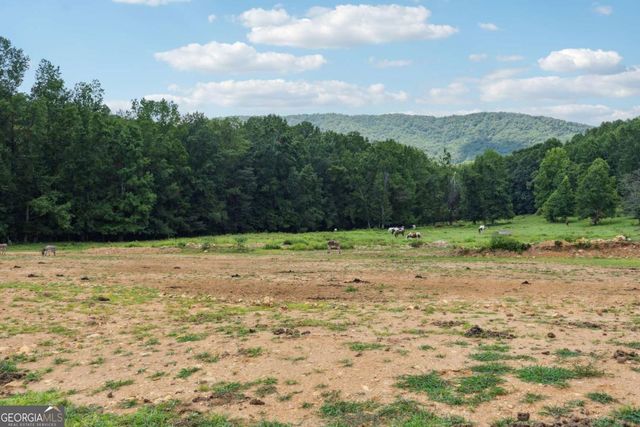 207 Canyon Pass, Cleveland, GA 30528