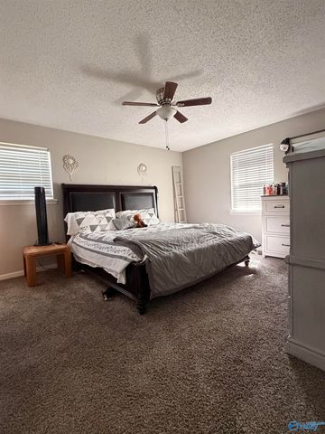 238 S Edmondson Street, Albertville, AL 35950