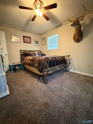 238 S Edmondson Street, Albertville, AL 35950