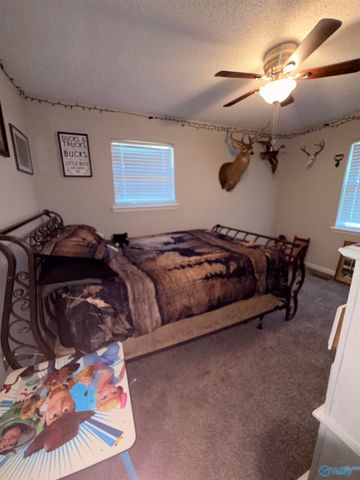 238 S Edmondson Street, Albertville, AL 35950