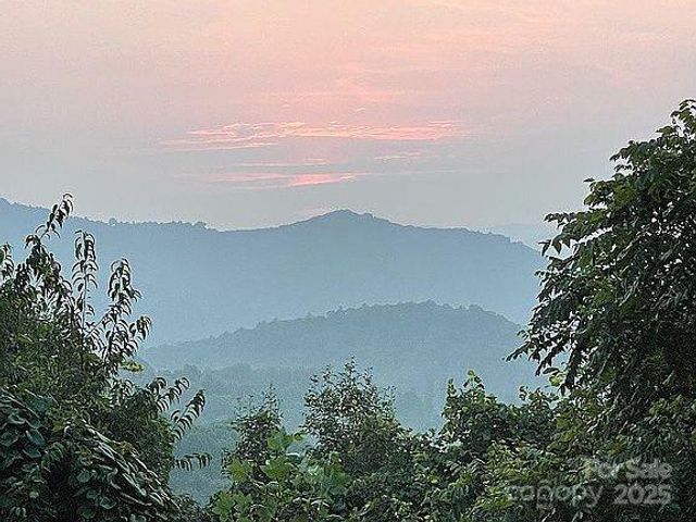 0 Dark Ridge Road, Elk Park, NC 28622
