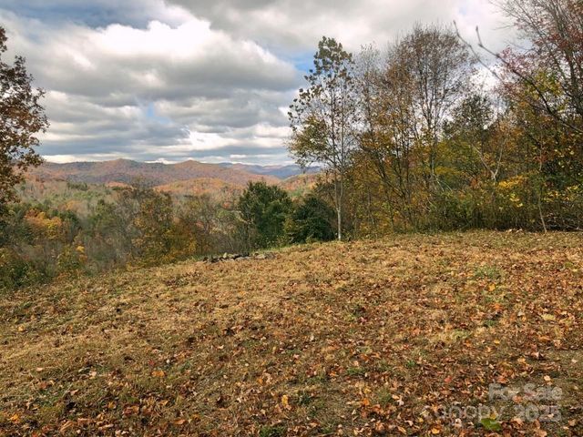 0 Dark Ridge Road, Elk Park, NC 28622
