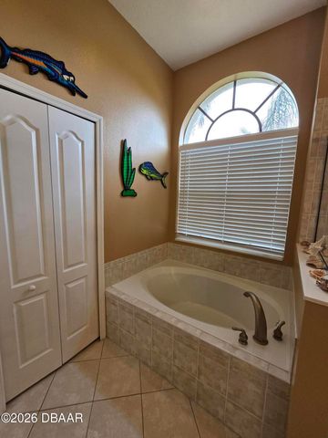 3803 Birch Mountain Road, Port Orange, FL 32129