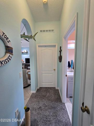 3803 Birch Mountain Road, Port Orange, FL 32129