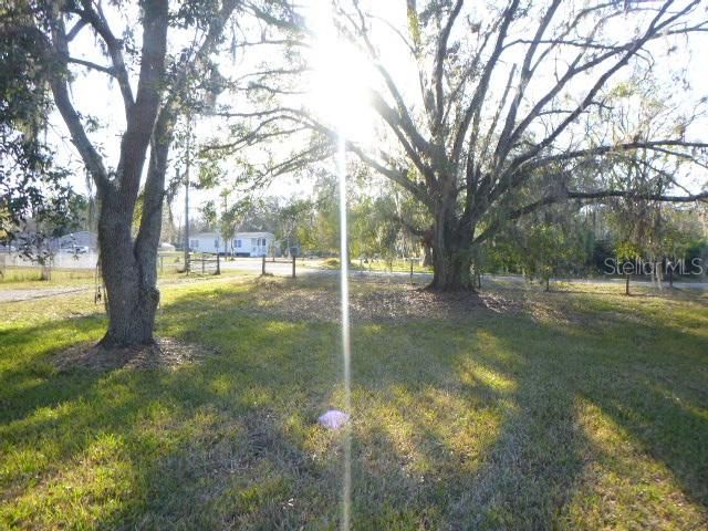 6616 MANGROVE DRIVE, Wesley Chapel, FL 33544