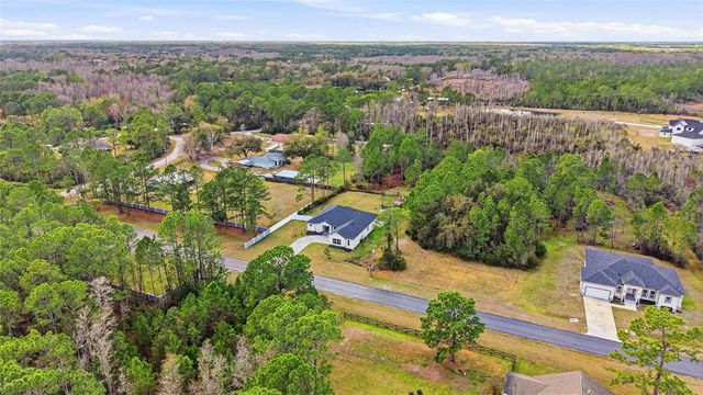 8001 WOODLEAF BOULEVARD, Wesley Chapel, FL 33544