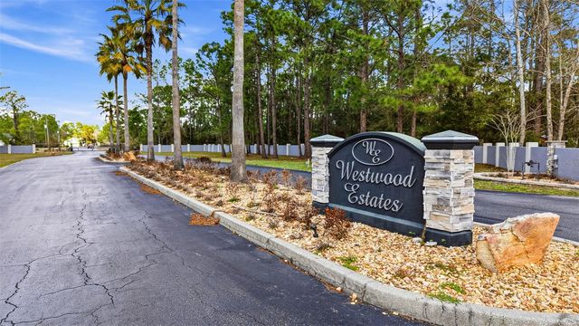 8001 WOODLEAF BOULEVARD, Wesley Chapel, FL 33544