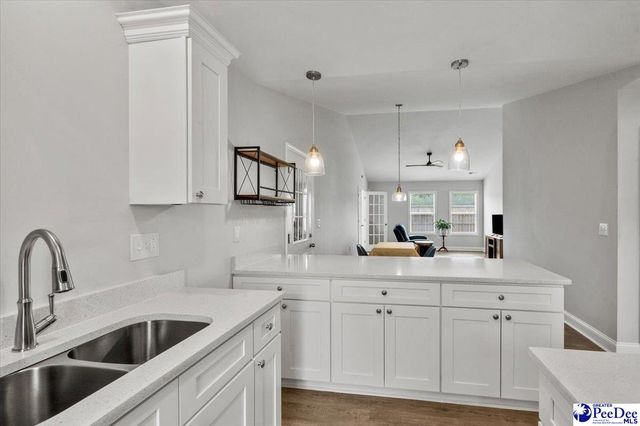 1705 Tuxedo Junction, Effingham, SC 29541