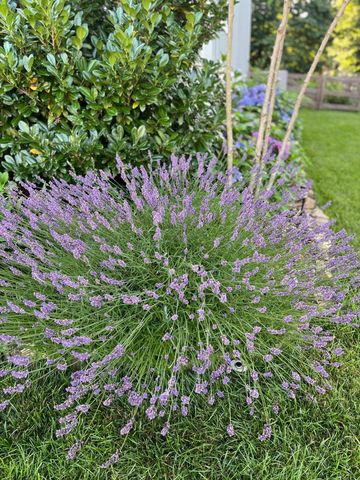 2819 Signal Farms Lane, Signal Mountain, TN 37377