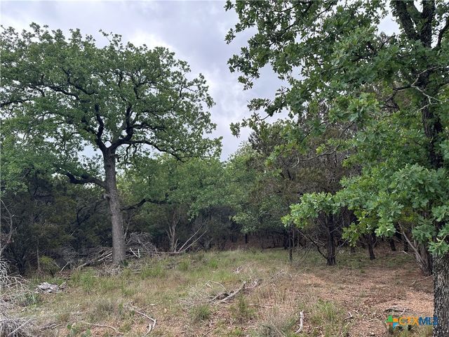 126 Cottonwood Drive, Gatesville, TX 76528