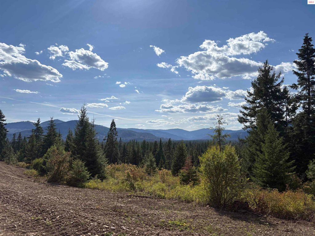 L5 Gemini Lane, Rathdrum, ID 83858 photo 3