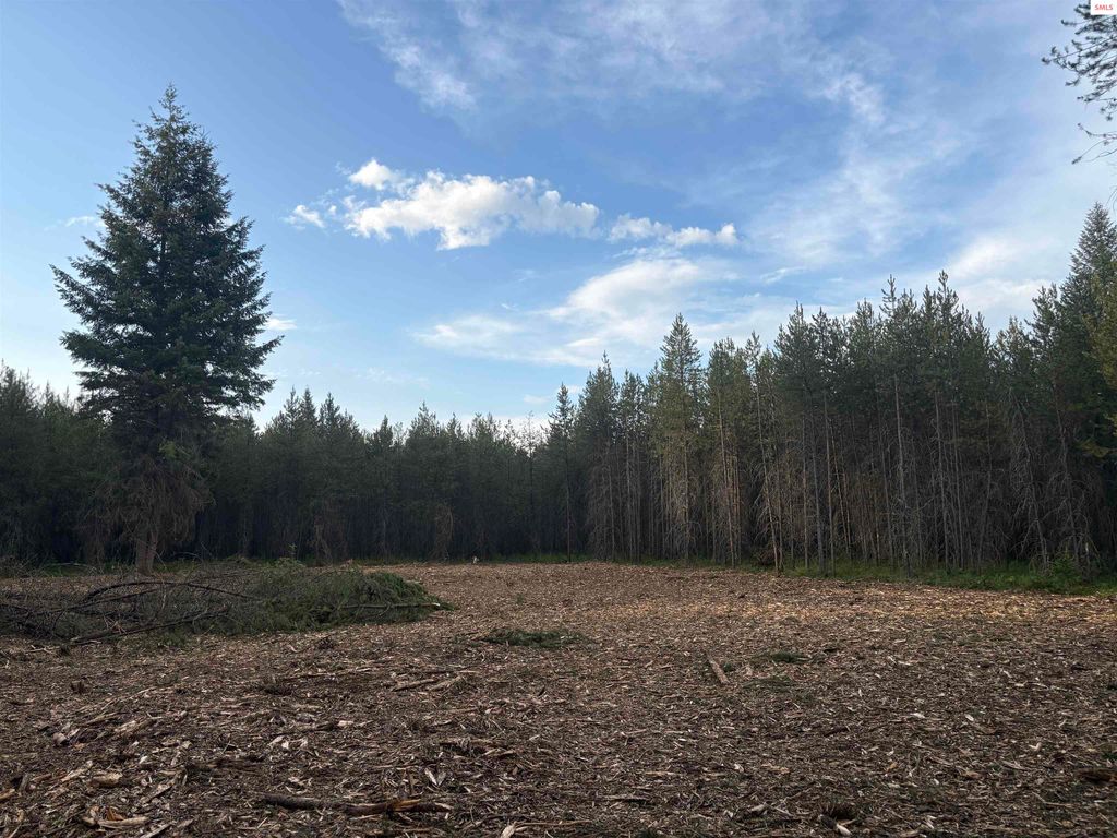 L5 Gemini Lane, Rathdrum, ID 83858 photo 37