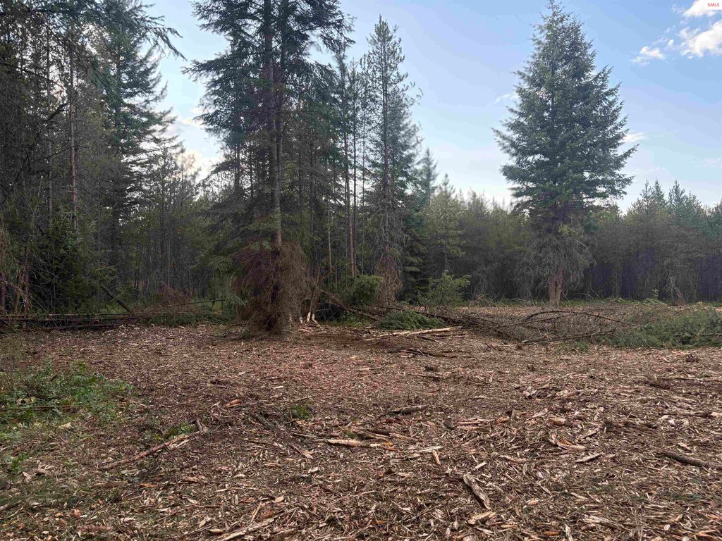 L5 Gemini Lane, Rathdrum, ID 83858 photo 5