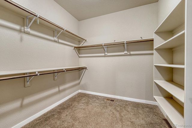 16338 Corkbark Terrace, Monument, CO 80132