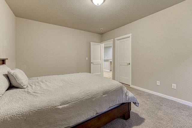 16338 Corkbark Terrace, Monument, CO 80132