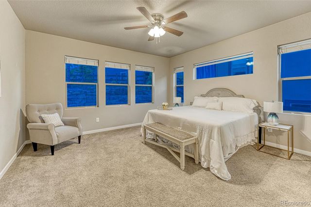 16338 Corkbark Terrace, Monument, CO 80132