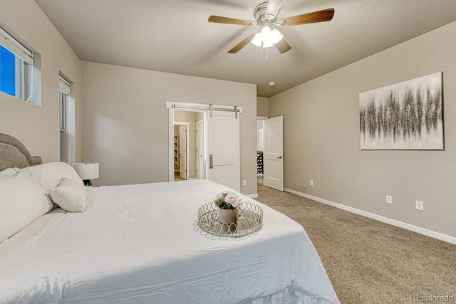 16338 Corkbark Terrace, Monument, CO 80132
