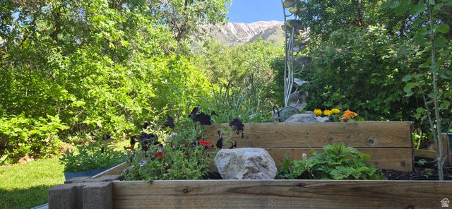 670 S OAK DR, Woodland Hills, UT 84653
