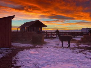 27028 Garo Park Drive, Blanca, CO 81123