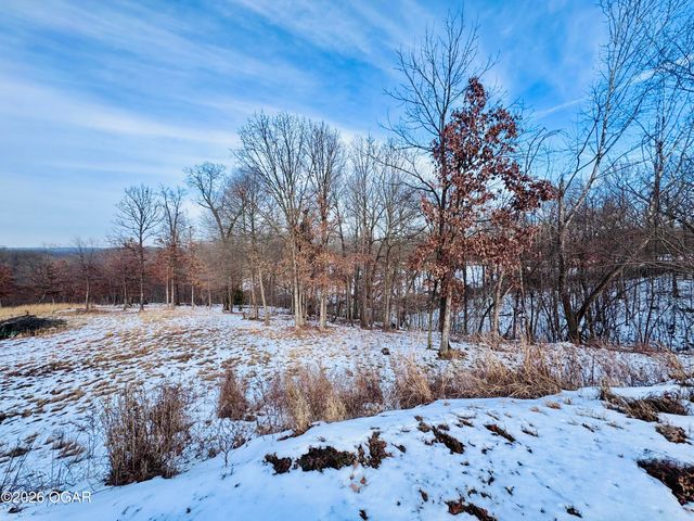 756 Cyclone Road, Pineville, MO 64856