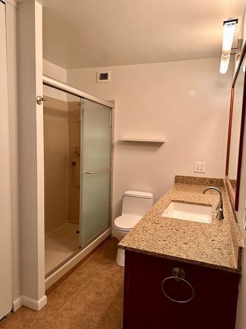 1030 N State Street 23G, Chicago, IL 60610