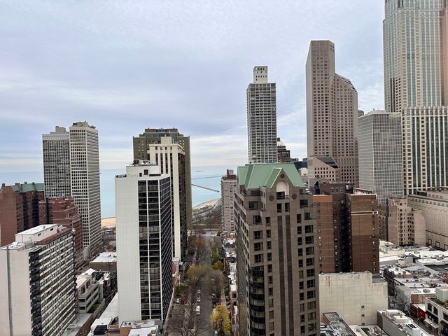 1030 N State Street 23G, Chicago, IL 60610