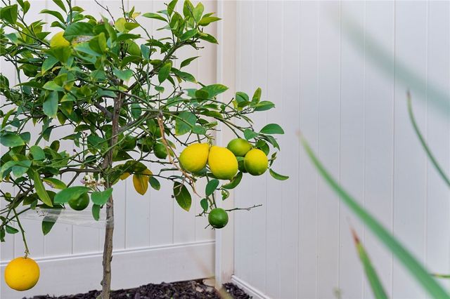 36628 Diego Springs Avenue, Murrieta, CA 92563