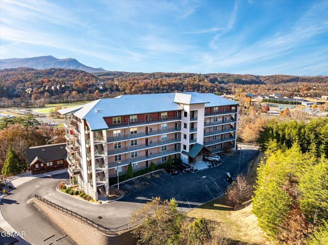 410 Big Bear Way, Pigeon Forge, TN 37863