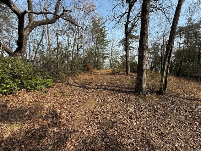 110 Buttercup Way, Sunset, SC 29685