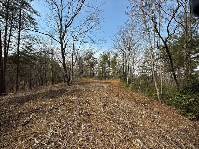 110 Buttercup Way, Sunset, SC 29685