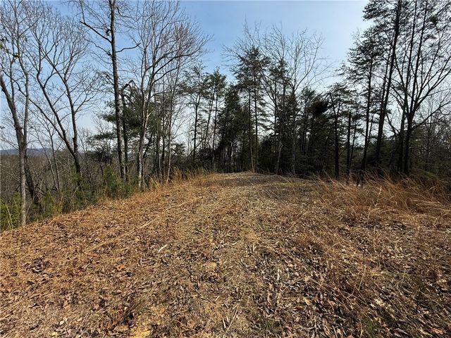 110 Buttercup Way, Sunset, SC 29685