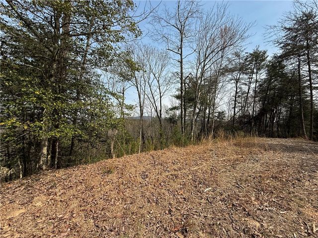 110 Buttercup Way, Sunset, SC 29685