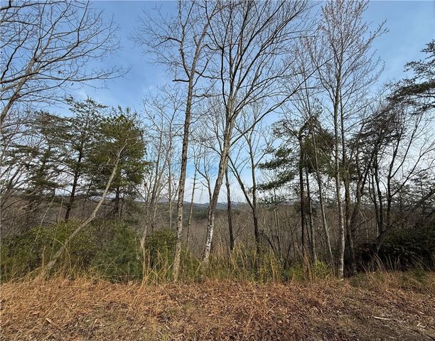 110 Buttercup Way, Sunset, SC 29685