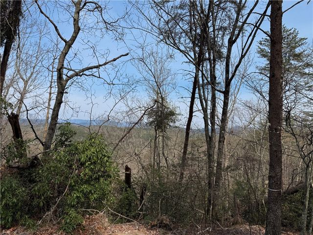 110 Buttercup Way, Sunset, SC 29685