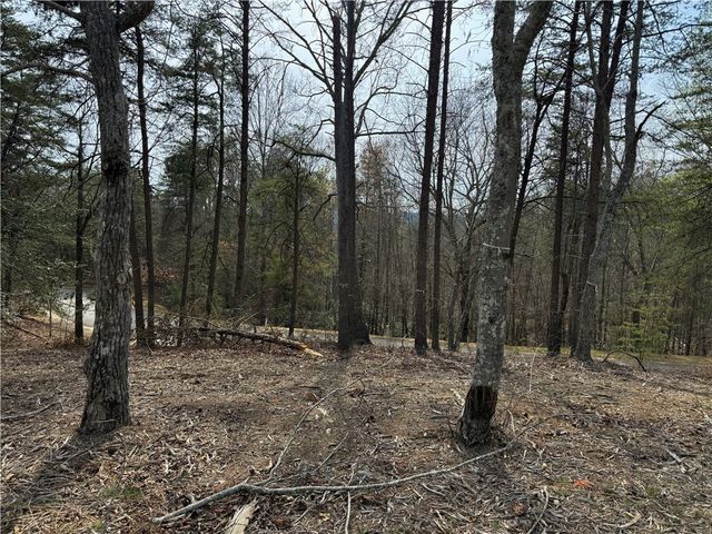 110 Buttercup Way, Sunset, SC 29685
