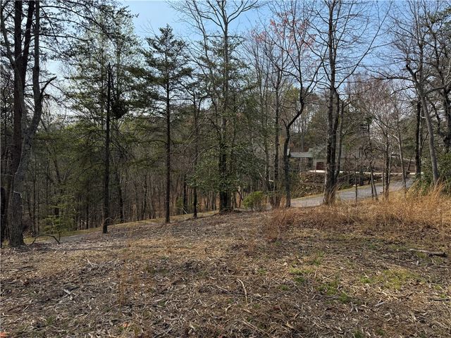 110 Buttercup Way, Sunset, SC 29685