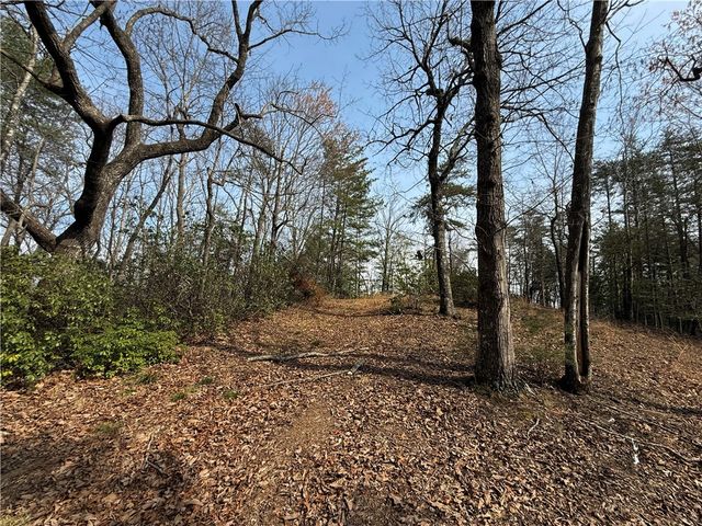110 Buttercup Way, Sunset, SC 29685