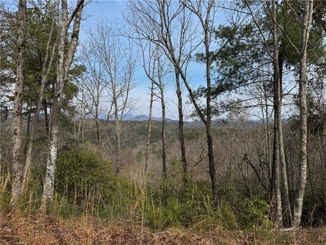 110 Buttercup Way, Sunset, SC 29685