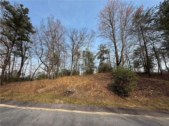 110 Buttercup Way, Sunset, SC 29685
