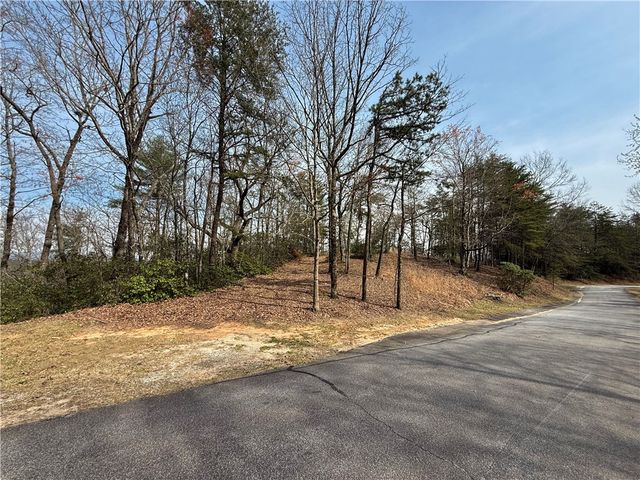 110 Buttercup Way, Sunset, SC 29685