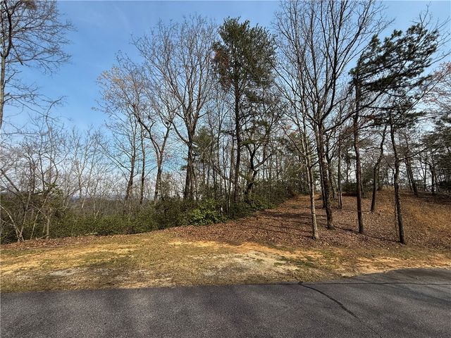 110 Buttercup Way, Sunset, SC 29685