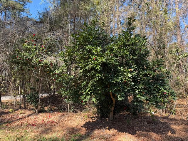 206 Sangaree Road, Walterboro, SC 29488