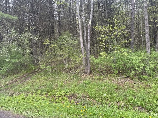Kilkenny Road, Unadilla, NY 13849