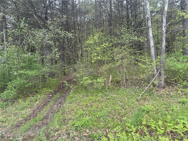 Kilkenny Road, Unadilla, NY 13849