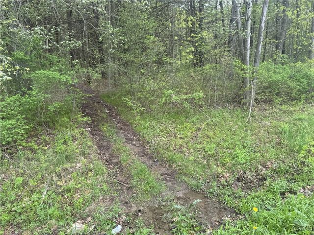 Kilkenny Road, Unadilla, NY 13849
