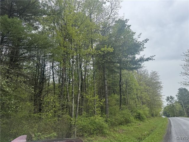 Kilkenny Road, Unadilla, NY 13849