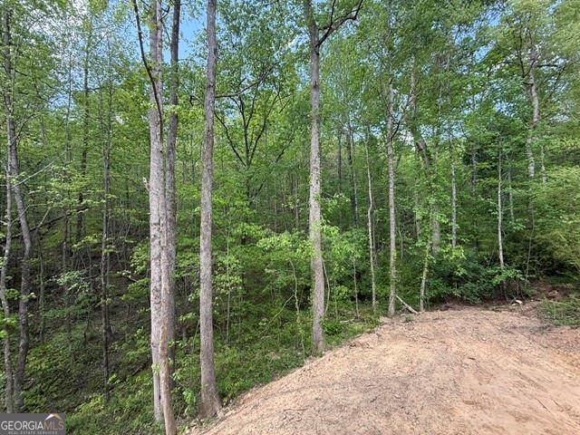 48 ITHICA Court, Jasper, GA 30143