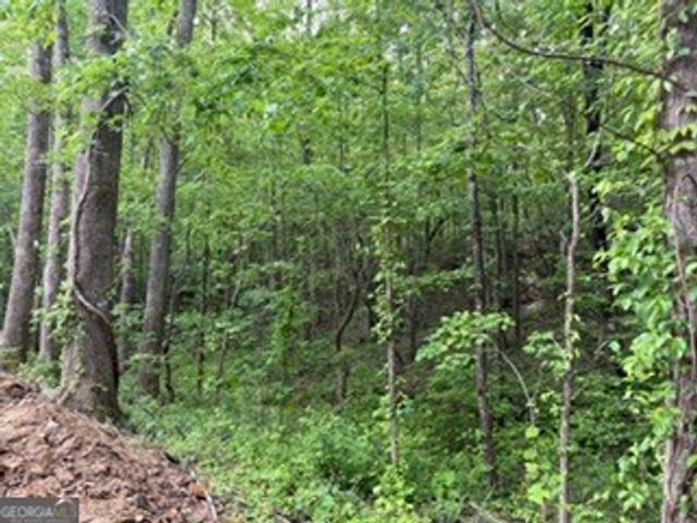 48 ITHICA Court, Jasper, GA 30143
