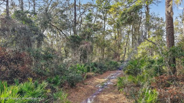 0 Powell Road, Brooksville, FL 34602