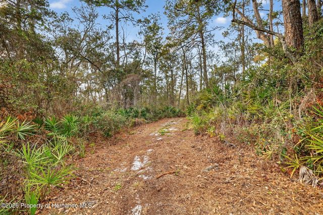 0 Powell Road, Brooksville, FL 34602